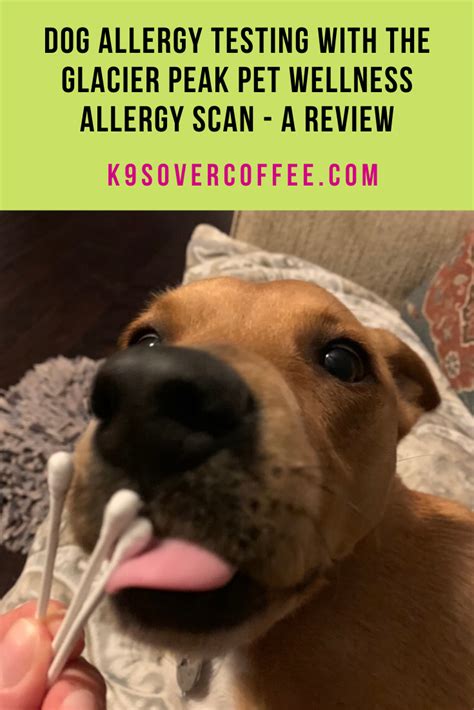 The best way to rule out a food allergy is to switch the dog to a novel diet for eight weeks. https://k9sovercoffee.com/wp-content/uploads/2019/12 ...
