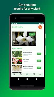 Limited free plant identification on free plan. PlantSnap Pro - Identify Plants, Flowers & Trees - Apps on ...