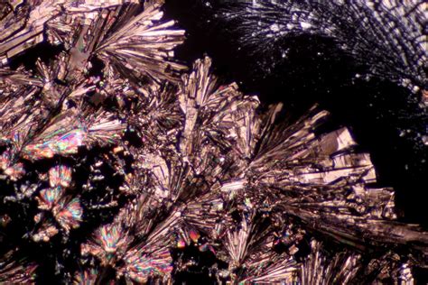 It dissolves well in water to give mildly acidic solutions. Ascorbic Acid Crystals | Ascorbic acid crystals under ...