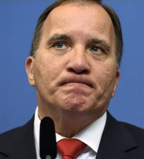 Stefan löfven lämnar posten som ordförande för s i samband med partikongressen senare i november. Sorpflokkarinn Löfven áfram við stjórn í Svíþjóð ...