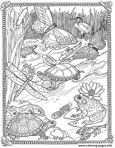 The best free, printable valentine´s day coloring pages! Mossy All About Page 3 By Jan Brett Coloring Pages Printable