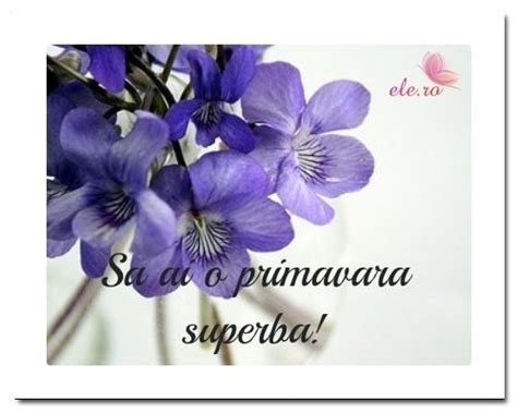 Autor elena yvette 15 martie 2020. Felicitari de primavara: Trimite cele mai frumoase urari ...