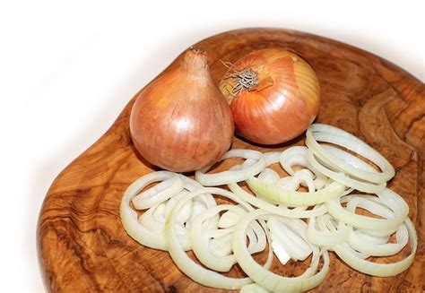 If you are cooking mushrooms in your kitchen and know a perfect recipe made of mushroom and find that your kitty is very interested and wants to take a bite. Can Cats Eat Onions?