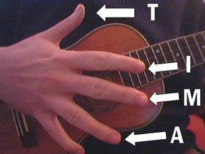 Like many of these techniques, this practice is not practical in real life. Beginner fingerpicking on ukulele | Ukulele, Ukulele beginner, Ukulele music