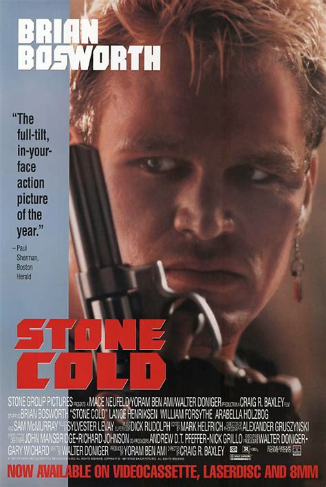 Despite not having the best written story or being the best produced film, you still can't help but be entertained. BliZZarraDas: Stone Cold (1991)