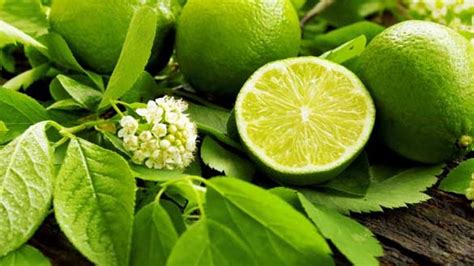 Maybe you would like to learn more about one of these? 5 Cara Menghilangkan Jerawat dengan Bahan Alami, Bisa ...