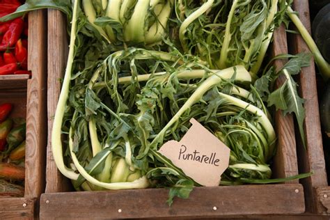 Le puntarelle, anche dette cicoria asparago, sono i germogli interni della cicoria catalogna. Puntarelle, come pulirle? | Gustoblog