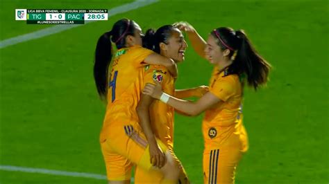 A qué hora y dónde ver en vivo. Tigres Femenil vs. Pachuca Femenil | Partido completo ...