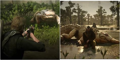 Red dead redemption ii has kept players glued to their screens since it was released on friday. Red Dead Redemption 2: Legendary Alligator Location (& How ...