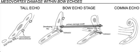 The above figure is a prototype of the evolution (stages a through e) of a bow echo (from fujita 1978). Damage survey results showed that the second bow echo ...