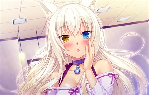 Perfect screen background display for desktop, iphone, pc, laptop, computer, android. Nekopara Wallpaper HD Download