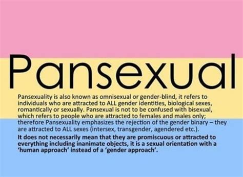 The romantic counterpart is panromantic. What is Pansexual? | LGBT+ Amino