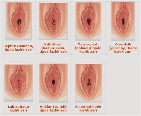 With latch still in the open position, slide square button in towards numbered dials and hold it in this position. What Happens To The Hymen During Sex