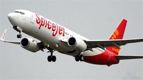 Now get your queries resolved over whatsapp! SpiceJet Air Hostess Accuses Airline Of Strip Search In An ...