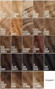 Hair Extension Color Chart For Side By Side Color Comparison Light