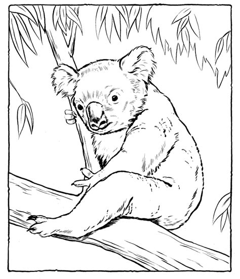 Beautiful koala dancing in a dress funny cartoon koala with a bag. Koala coloring pages to download and print for free