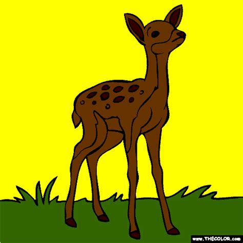 Tjaa als je dol op hertjes bent.kom je wel eens wat tegen op het internet. Baby Deer Coloring Page | Deer coloring pages, Baby deer ...