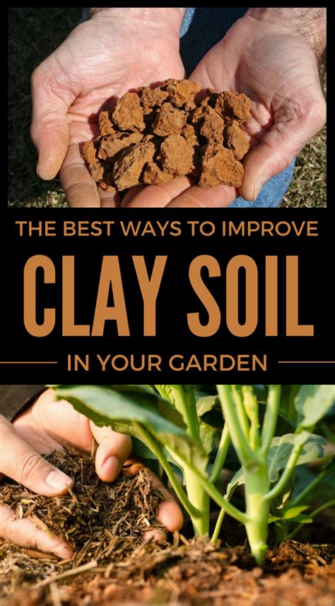 Burning clay soil what plants grow well in clay soil? The Best Ways To Improve Clay Soil In Your Garden ...