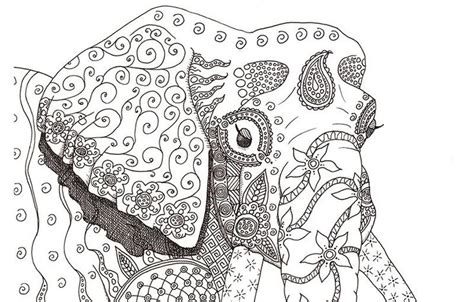 Use the download button to find out the full image of elephant coloring pages for adults, and download it in your computer. Free Difficult Coloring Pages For Adults | Elephant ...