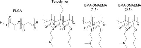 Particles composed of plga1, plga2, or plga3 released in vitro at 10 ± 0, 15 ± 0, and 34 ± 1 days, respectively (fig. Chemical structure of PLGA, terpolymer, dipolymer 1:1 and dipolymer 3:1. | Download Scientific ...