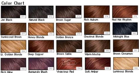 You may identify with a few different patterns, as all hair doesn't necessarily contain the same type of curl consistently throughout. Chestnut Brown Hair Color | warm mocha :) | Hair and ...