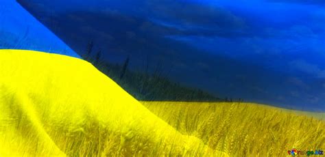 Download free picture Яркие цвета. Флаг Украины обои на рабочий стол ...