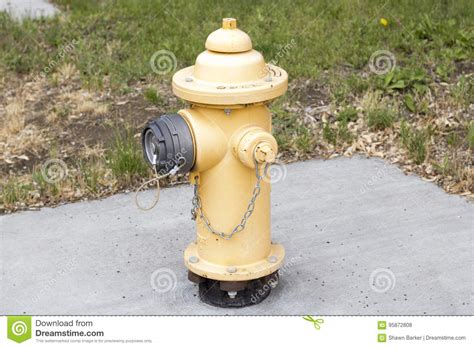 Stay safe at all times: Yellow fire hydrant stock photo. Image of fire, hydrant ...