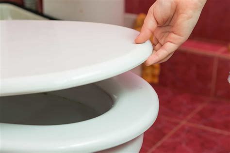 Another mentionable pro about this product is quality. My toilet seat won't stay up, learn how to fix it today