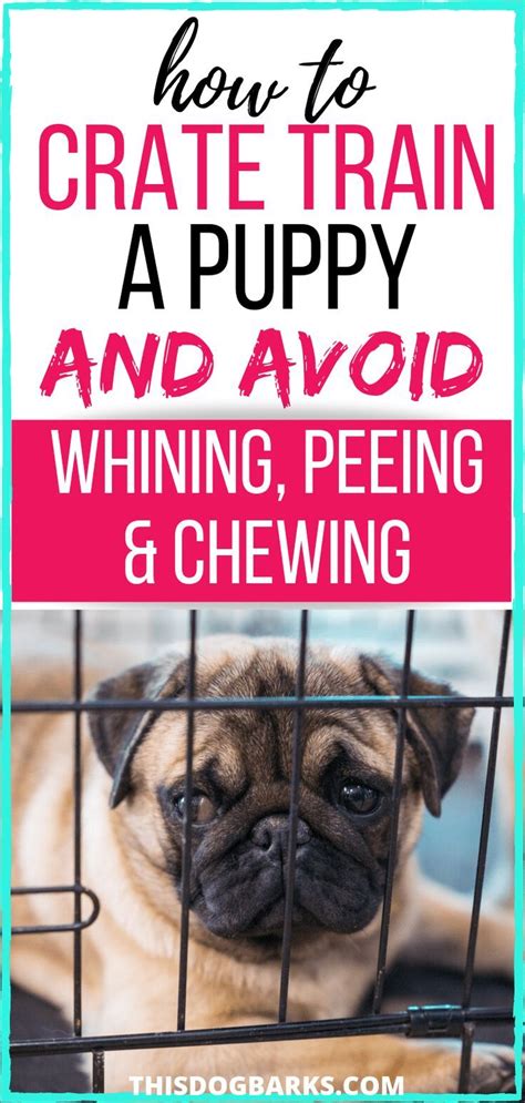 Is your new puppy more whine than roses when they're in his or her crate? Crate Training A Puppy: Whining, Peeing, & Chewing Solved ...