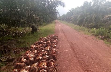 Pada masa kini mungkin ada dalam masyarakat kita yang mempercayai bahawa arwah orang yang telah meninggal dunia atau roh orang mati masih lagi berada di rumah selama 40 hari, walau bagaimanapun, ada diantara kita yang masih bertanyakan tentang kebenarannya adakah ianya benar atau satu cerita rakyat. TATA CARA PENGAJUAN DANA SARANA DAN PRASARANA SAMA DENGAN ...