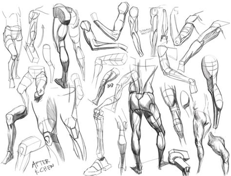 I am extremely excited to bring you these lessons on drawing the muscles. 351 best images about Figure Drawing / Legs & Feet on ...