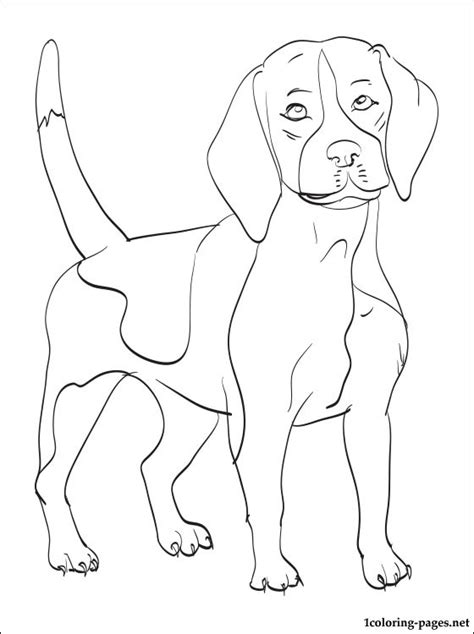 They will give your kid the opportunity to learn more about the finer art of an adorable spotted pup greets your kid as he opens the first page of his coloring book. Beagle Dog Coloring Pages at GetColorings.com | Free ...