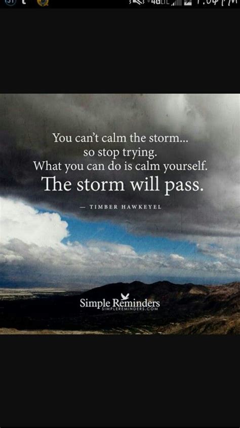 I am the storm quote, what does it mean? Stop trying | Storm quotes, After the storm quotes ...
