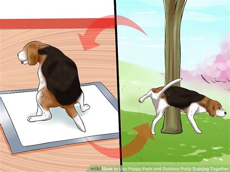 Do not also train your dog on how to use puppy pads because it would be like learning spanish and polish at the same time, both of them are completely different, only use puppy. How to Use Puppy Pads and Outdoor Potty Training Together