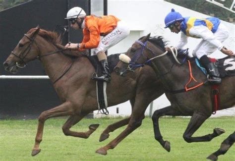 I went all over town looking for an agent, but. Zimbabwe Challenge 2014 Review | Sporting Post