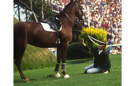 7e individueel met robin hood w. Hickstead Derby Bank: how NOT to do it - Horse & Hound