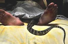 snake woman hell her mzansi