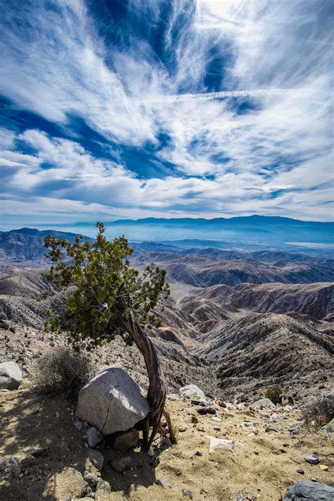 We did not find results for: Looking out from Keys View, Joshua Tree, CA OC [3264 × ...