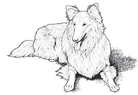 Our system stores dog coloring pages for adults apk older versions, trial versions, vip versions, you can see here. Dogs Coloring Pages Difficult Adult - Coloring Home