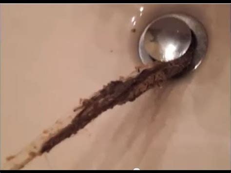 You can pull it out even if water is standing in. Girls Are More Gross Than Boys - Hair Clogged Drain - YouTube