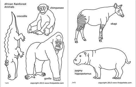 Aug 30, 2012 · rainforest animals and plants coloring page. African Jungle or Rainforest Animals | Free Printable ...