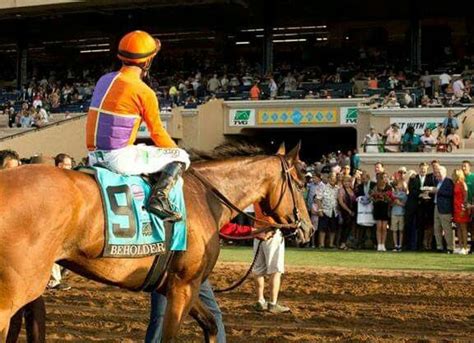 Learn as you race learn about nutrition while eating healthy and unhealthy food as you race. Beholder | Horse racing, Horses