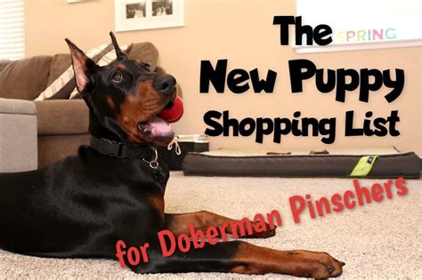 November 11, 2016 by chris mower 18 comments. New Doberman Puppy Shopping List - Doberman Planet