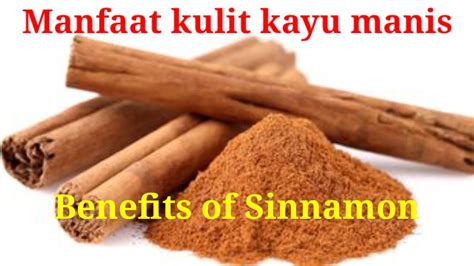 Pohonnya bisa mencapai ketinggian 15 meter. #kayu manis#sinnamon Manfaat kulit kayu manis - YouTube