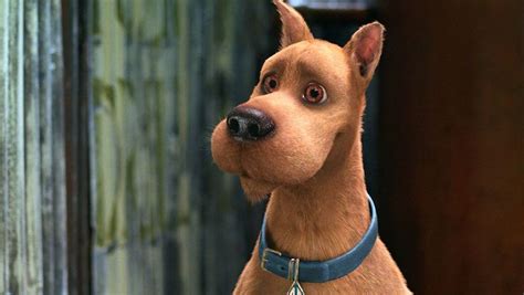 Imdb users have rated the best of them all. Scooby-Doo 2: Monsters Unleashed (2004) - Photo Gallery ...