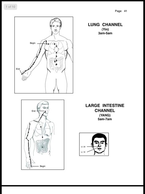 In this video she works to balance lung with its partner in t. Lung and Large Intestine meridian (With images) | Acupuncture