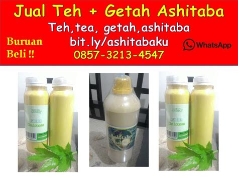 Iwan mensterilisasi alat pemanen dan botol penampung dengan alkohol 70%. 0857-3213-4547 Jual Getah Ashitaba Malang - 0857-3213-4547 ...