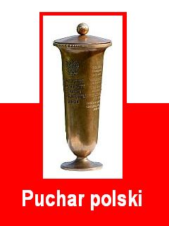 Maybe you would like to learn more about one of these? HANSA web - Puchar polski