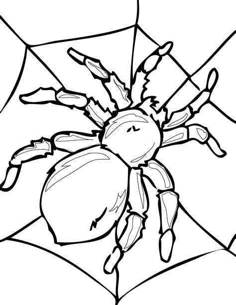 Some of the activity sheets also feature the. Spider coloring pages to download and print for free