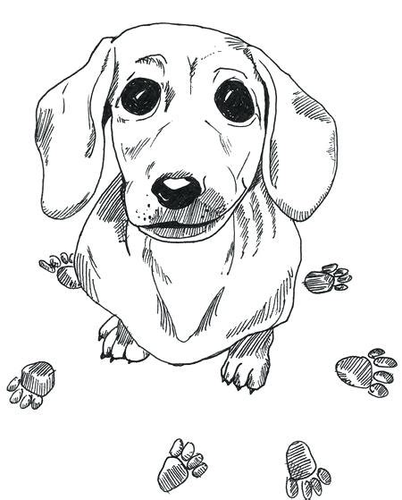 Bride dog dachshund contour drawing. Wiener Dog Coloring Pages at GetColorings.com | Free ...